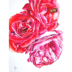 l'abri merveilleux- aquarelle Joëlle Poret