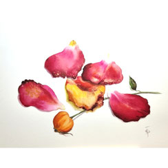 pétales rose rouge- Joëlle Poret