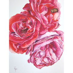 3 roses cétoine aquarelle Joëlle Poret