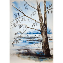 l'arbre en bord de Charente- encre aquarelle- Joëlle Poret