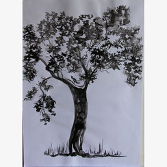 Etude arbre - Encre - Joelle Poret