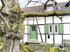KRONBERG CHARMANTE KLEINE DHH - IDYLLISCHE FELDRANDLAGE
