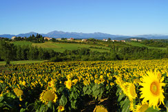 Village de Tréziers - Pyrénées Audoises