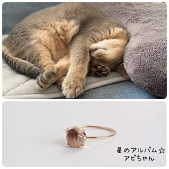 アビシニアンのアビちゃんの画像と星のお守りK10ゴールドリング６ｍｍの画像