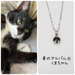 猫のくまちゃんの画像と星のお守りSV925ロジウムシルバーペンダントの画像