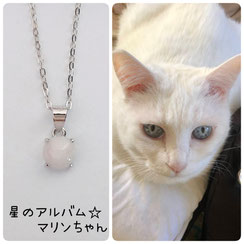 白猫のマリンちゃんの画像と星のお守りSV925ロジウムシルバーペンダントの画像