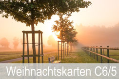 Weihnachtskarten, Neujahrskarten, im Langformat, Panoramaformat, 10 x 21 cm, C6/5, wertige Karten, Nachhaltige Karten, gutenhof Karten