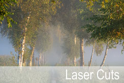 Laser Cuts von Artoz, Laser Cuts aus Papier, bestellen Schweiz