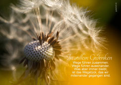 Beileidskarte, Trauerkarte, Pusteblume, Löwenzahn, Trauerspruch, Wege führen zusammen, Trauerkarte Frühling