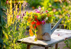 Glückwunschkarten, Geburtstagskarten, A5, Blumen, Blüten