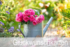 Glückwunschkarten, Geburtstagskarten, Fotokarten, Schweiz bestellen, A5