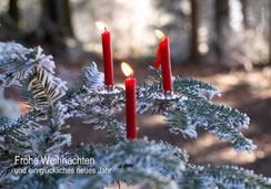 Weihnachtskarte, Karte zu Weihnachten, Fotokarte Weihnachten, Kerzen im Wald, Christbaum