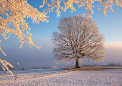 Weihnachtskarte, Neujahrskarte, Fotokarten, A5, Weihnachtskarten A5, Kapelle Raureif, Kapelle Biecht, Ettiswil, Wyherkapelle