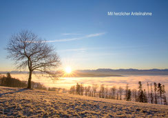 Trauerkarte, Beileidskarte, stimmungsvoll, Sonnenaufgang, Baum, Kastanienbaum, Nebelmeer, Wauwilermoos, Licht, Baum im Sonnenaufgang, Trauerkarte Winter, Trauerkarte Herbst