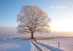 A5, Weihnachtskarte, Neujahrskarte, Fotokarte, Winter, Raureif, Biecht, Baum, Eiche, Winterbaum, Baum mit Raureif, Baum mit Biecht, Schweiz, bestellen