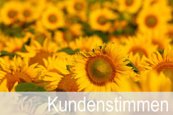 Kundenstimmen zu den gutenhof Karten