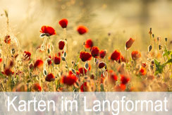Glückwunschkarten, Fotokarten, im langformat, Schweiz bestellen