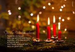 Weihnachtskarte, Weihnachten, Schweiz,  Neujahrskarte, Gutenhof, Priska Ziswiler, Ettiswil, Fotokarte,  Elche, Elch, Weihnachtsbeleuchtung,  Neujahrskarten, Karten zu Weihnachten, Fotokarten zu Weihnachten, Weihnachtskarten, Weihnachtskarten Schweiz, Weih