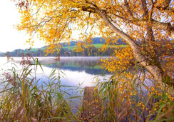 Glückwunschkarte, Geburtstagskarte, Fotokarte, Soppensee, Steg am See, Holzsteg am See