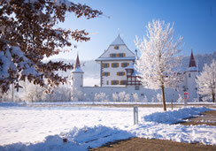 Weihnachtskarte, Neujahrskarte, Schloss Wyher, Schnee, Schloss im Schnee, Märchenschloss, Ettiswil 