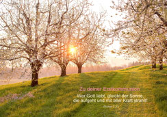 Kommunion, Kommunionkarte, Glückwunschkarte Kommunion, kindgerecht, mit Spruch, Kirschbäumen, Bäume, Sonnenaufgang