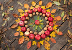 Glückwunschkarten, Dankeskarten, Herbst, Mandala, Äpfel, Baumnüsse, Ettiswil, Priska Ziswiler, Karten bestellen, Glückwunschkarten Schweiz, Fotokarten