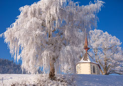 Weihnachtskarte, Neujahrkarte, Kapelle, Kapelle im Schnee, Raureif, Biecht, Wyherkapelle, Ettiswil