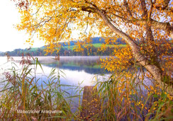 Trauerkarte, Beileidskarte, A5, Steg, Holzsteg, See, Steg am See, Soppensee, stimmungsvolle Trauerrkarten