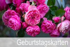 Geburtstagskarten, Glückwunschkarten, Fotokarten, A5, hochwertige Glückwunschkarten, für Unternehmen, Schweiz bestellen