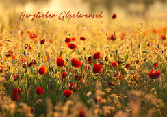 Glückwunschkarten, Geburtstagskarten, A5, Mohnblumen, Mohnblumenwiese, Mohnblumenfeld, stimmungsvoll, wertig, aus der Schweiz, geschäftliche Glückwunschkarten