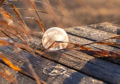 Glückwunschkarten, Geburtstagskarten, Fotokarten, Schweiz bestellen, A5, Seifenblase, Frozen Soap Bubble, neutrale Karte, Blanco Karte