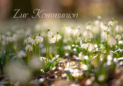 Glückwunschkarte zur Erstkommunion, Kommunion, mit kindgerechtem Spruch, Spruchkarte Kommunion, Schneeglöggli, Märzenbecher, Märzeglöggli, Walterswil