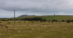 Trippet Stone Circle
