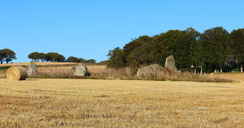 Kirkton of Bourtie Stone Circle