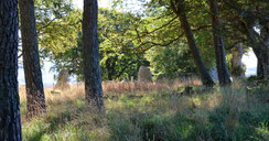 Aberdeenshire Faszinierende Steinkreise
