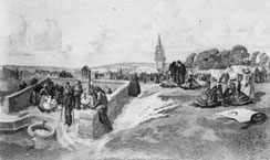 © Jim-E. Sévellec