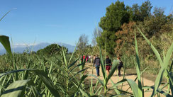 Le programme des marches du 4ème trimestre 2017 de Randps Canétoises