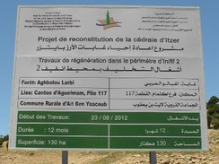 5 - Voeu pieux (sur pieux !) de régénération 