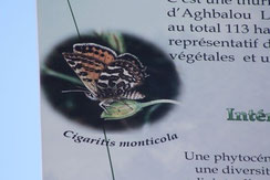 2 - Détail du panneau de la Réserve des Papillons