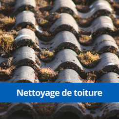 demoussage nettoyage toiture lyon