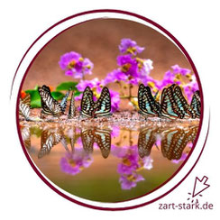 Logo Onlinekurse für Hochsensible, Inga Dalhoff, zart-stark.de