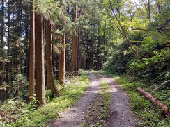 ▲三室山山頂への道。上記「奈良坂峠」の石碑がこの道に入る目印。