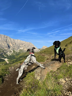 Wandern mit Hund im den Dolomiten - Übernachtung mit Hund auf der Seiser Alm