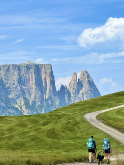 Wandern mit Hund im den Dolomiten - Übernachtung mit Hund auf der Seiser Alm