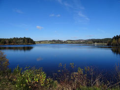 une photo sur le lac de devesset de couleur bleu bordé d'arbres, de forêt une grande base de plein air par le gite de la gorre en location pour vous faire découvrir l'ardeche