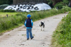 Junge und Hund auf dem Weg zurück