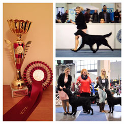 Miles won the breed friday & saturday!