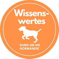 Das erste Mal mit Hund in der Normandie - Wissenswertes