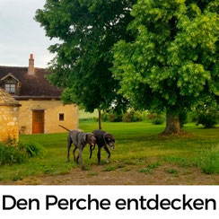 Der Perche - ein unentdecktes Kleinod in der Normandie