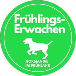 Das erste Mal mit Hund in der Normandie – Ferien im Frühling